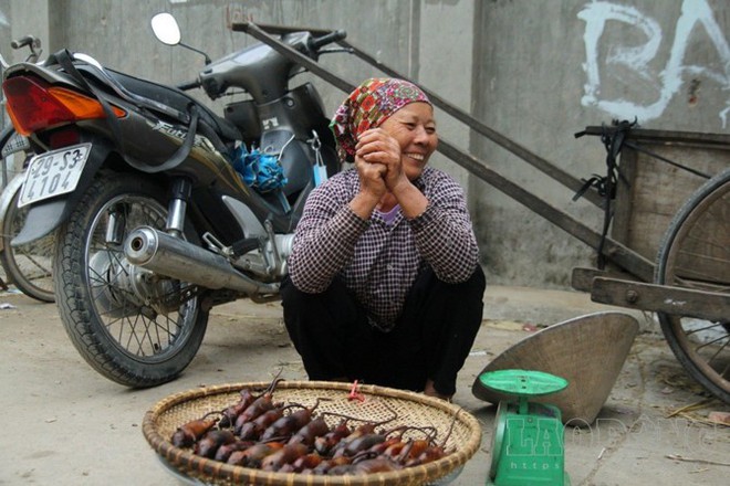 Hà Nội vào mùa thịt chuột: Người dân đổ xô đánh bẫy, kiếm tiền triệu mỗi ngày - Ảnh 1.