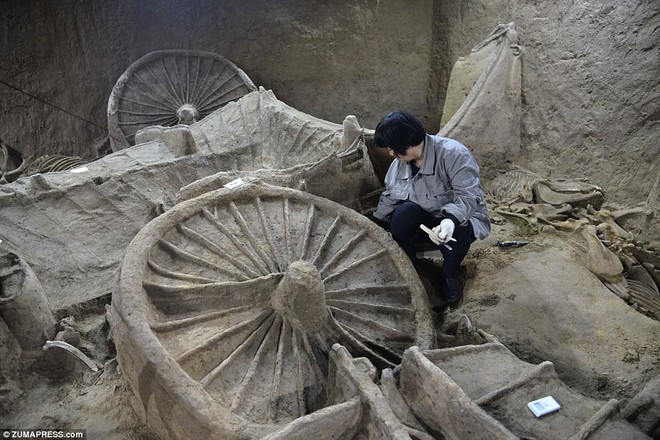 Bí ẩn cổ mộ 2.400 năm chứa hơn 100 xác ngựa ở Trung Quốc - Ảnh 4.