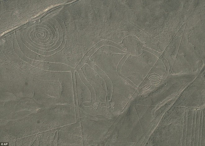 Phát hiện dị thường: Hình vẽ cá voi sát thủ dài 70m giữa sa mạc huyền bí ở Peru - Ảnh 4.