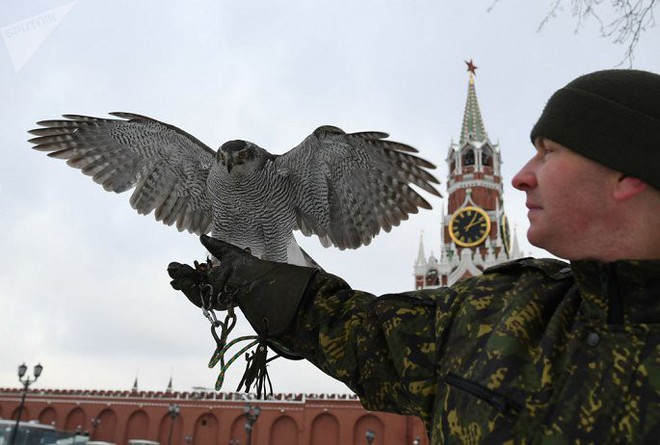 Biệt đội chim săn mồi bảo vệ Điện Kremlin - Ảnh 1.