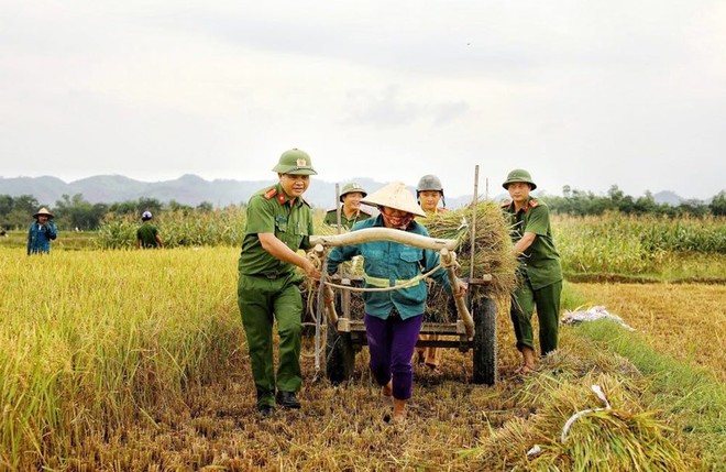 Nữ chiến sĩ công an gặt lúa giúp dân chạy ‘siêu bão’ - Ảnh 10.