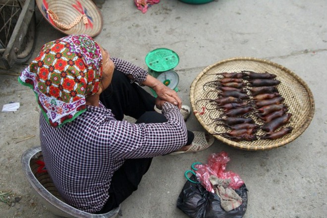 Hà Nội vào mùa thịt chuột: Người dân đổ xô đánh bẫy, kiếm tiền triệu mỗi ngày - Ảnh 11.