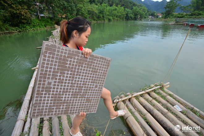 Lạng Sơn: Cô lập giữa ốc đảo, người dân thót tim qua cầu phao tạm bằng tre nứa - Ảnh 12.