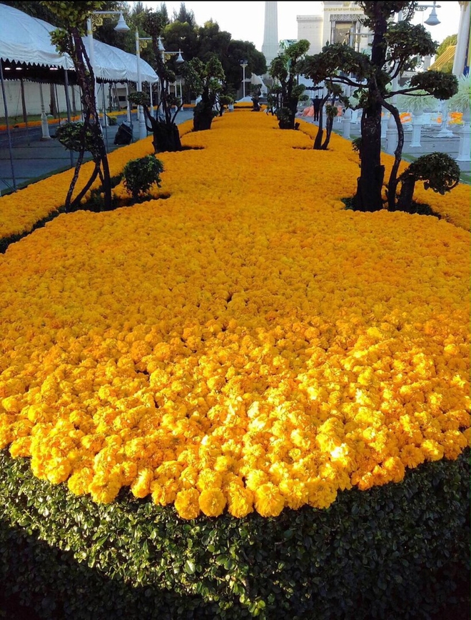 Thảm hoa lá khổng lồ trong tang lễ 90 triệu USD của nhà vua Thái Lan - Ảnh 12.