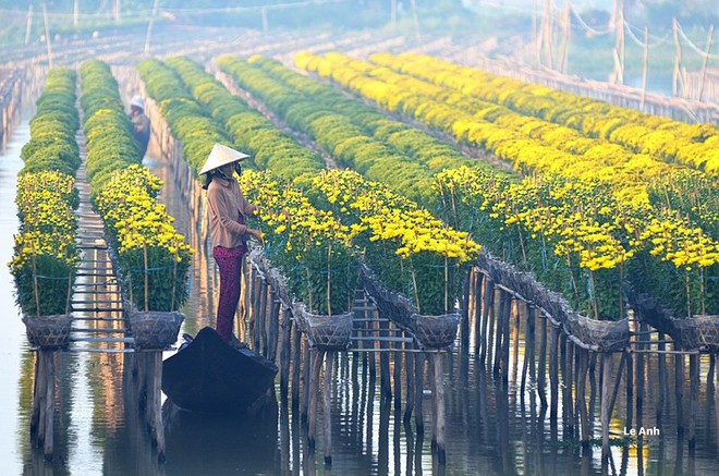 Thầy giáo dạy toán với bức ảnh ‘đàn vịt tạo hình chữ S’ - Ảnh 14.