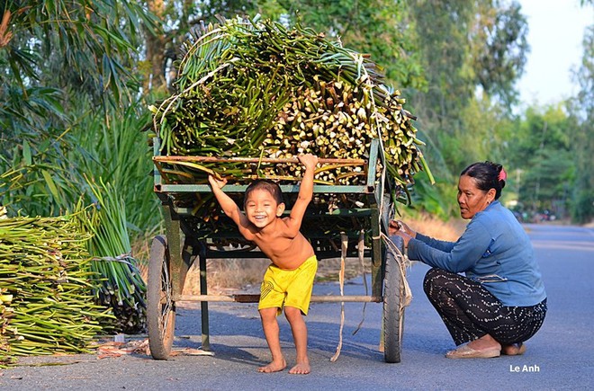 Thầy giáo dạy toán với bức ảnh ‘đàn vịt tạo hình chữ S’ - Ảnh 16.