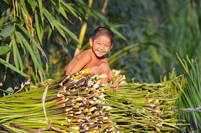 Thầy giáo dạy toán với bức ảnh ‘đàn vịt tạo hình chữ S’ - Ảnh 17.