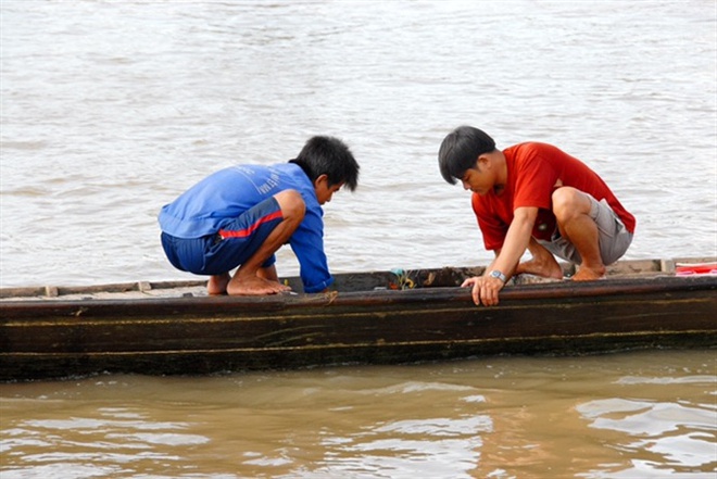 Những hình ảnh săn cá linh mùa lũ đẹp miền Tây, kiếm tiền triệu/ngày - Ảnh 19.