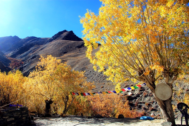 Mùa thu ở Ladakh: Hành trình trải nghiệm của 1 phụ nữ Việt đến nơi đẹp tựa “thiên đường ẩn giấu” ở Ấn Độ - Ảnh 19.