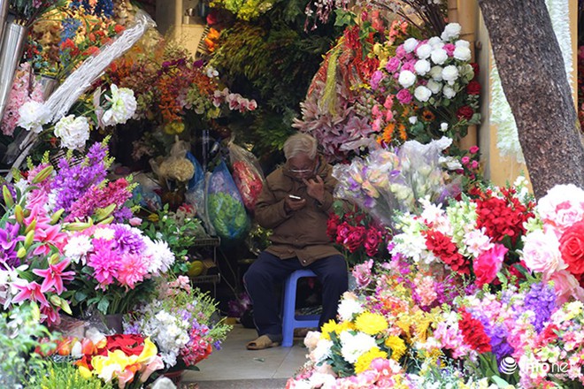 Ngắm chợ hoa lâu đời nhất của Hà Nội những ngày cuối năm - Ảnh 3.