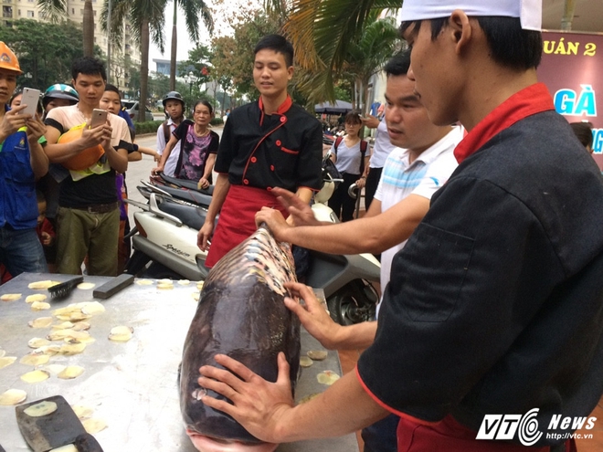 Siêu thủy quái cá hô 200 triệu đồng xuất hiện ở Hà Nội - Ảnh 3.