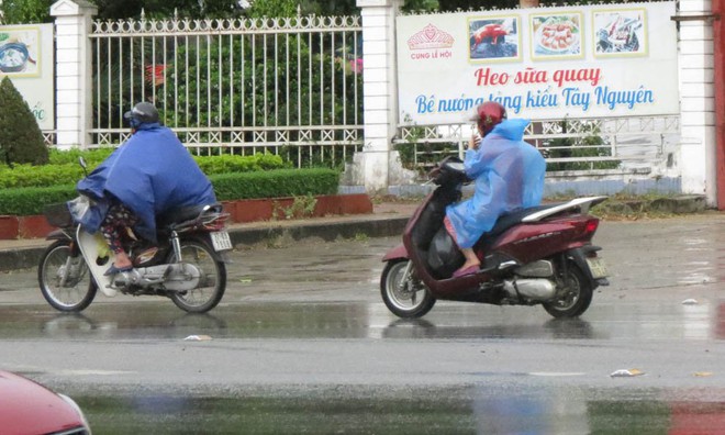 Cơn mưa quý như vàng đổ xuống Nghệ An - Ảnh 3.