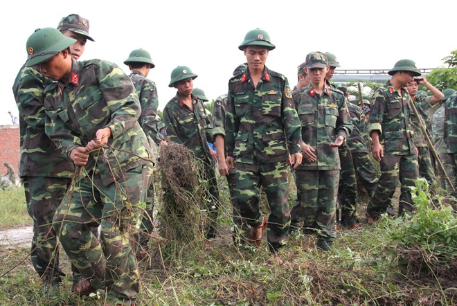 Lãnh đạo Đà Nẵng làm vệ sinh môi trường hưởng ứng APEC - Ảnh 2.