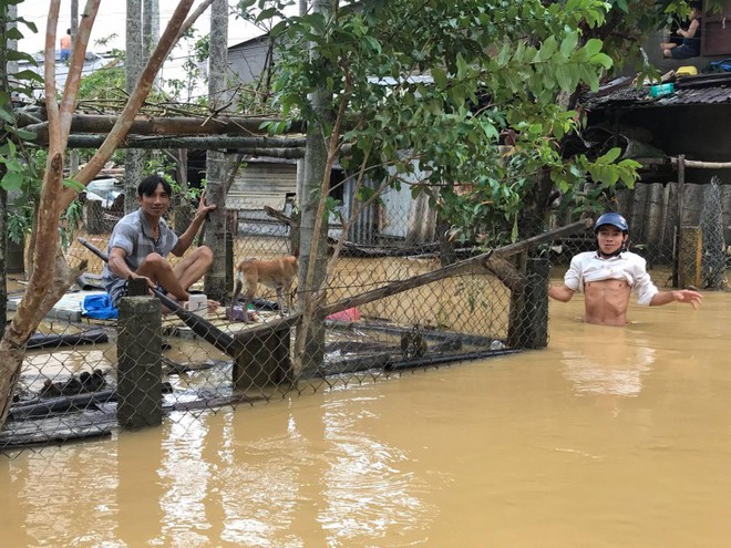 4 ngày bị lũ cô lập, dân ngồi mái nhà, chờ viện trợ - Ảnh 3.