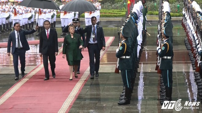 Chủ tịch nước Trần Đại Quang tiếp đón nữ Tổng thống Chile tại Hà Nội - Ảnh 3.