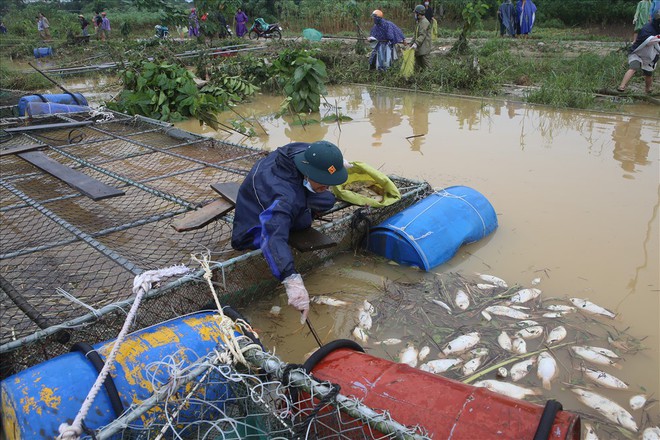 Chùm ảnh: Thừa Thiên-Huế bắt tay và khắc phục hậu quả mưa lũ - Ảnh 3.