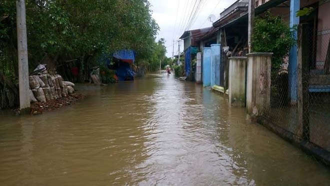 Đường phố Bình Định chìm trong biển nước, người dân dùng máy cày vượt lũ - Ảnh 3.