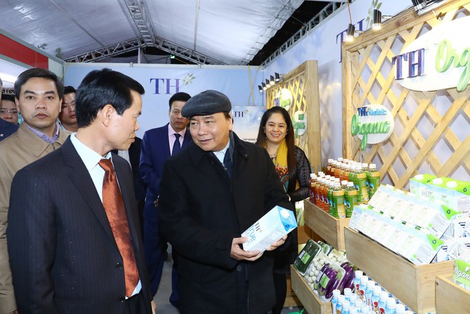 Tập đoàn TH đầu tư 2.500 tỷ đồng chăn nuôi bò sữa công nghệ cao tại Hà Giang - Ảnh 3.