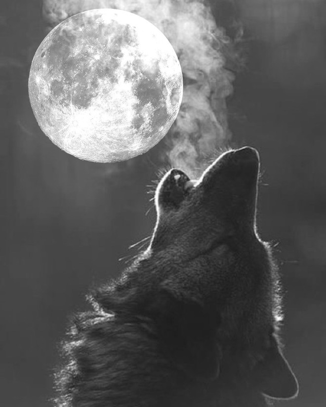 Trăng sói - siêu trăng đầu tiên của năm sẽ xuất hiện vào đúng 1/1/2018 - Ảnh 3.