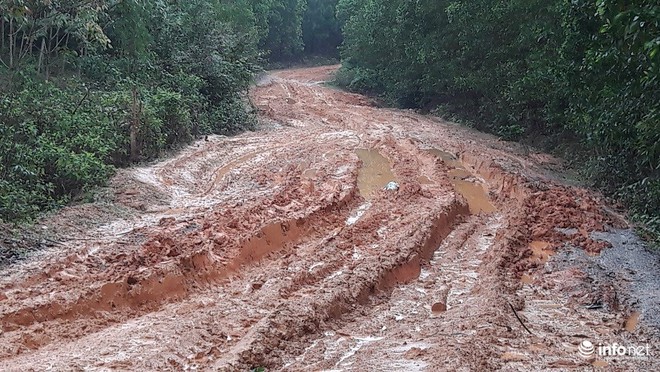Những con đường “tắm bùn” ở Bố Trạch - Quảng Bình - Ảnh 4.
