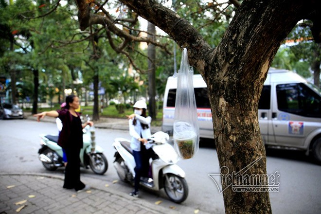 Trả vỉa hè, dân treo hàng lơ lửng cành cây kiếm sống - Ảnh 3.