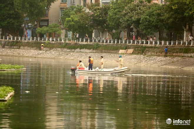 Hà Nội: Sau đúng 1 năm, cá lại chết trắng mặt hồ Hoàng Cầu - Ảnh 4.