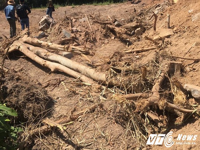 Căng lều bảo vệ vị trí nghi lăng mộ vợ vua triều Nguyễn bị san phẳng làm bãi đậu xe - Ảnh 4.