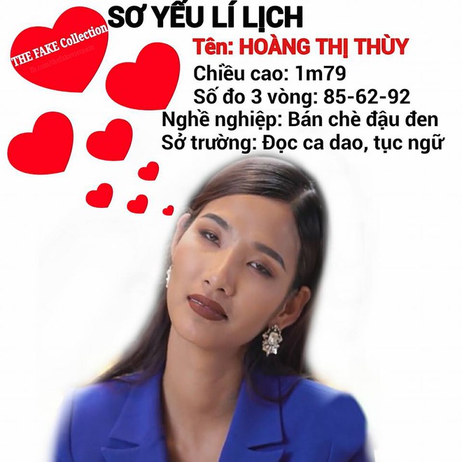 Ảnh chế Hoàng Thùy thi Hoa hậu Hoàn vũ Việt Nam mặc váy hoa dâm bụt và ứng xử bằng ca dao - Ảnh 4.