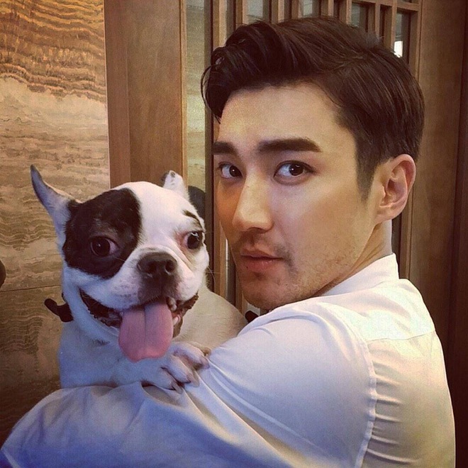 Netizen phẫn nộ vì gia đình Siwon tiếp tục thả chó, tổ chức sinh nhật cho thú cưng sau sự cố cắn CEO - Ảnh 4.