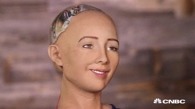 Vừa nhận quyền công dân, nữ robot Sophia đã phạm pháp! - Ảnh 1.