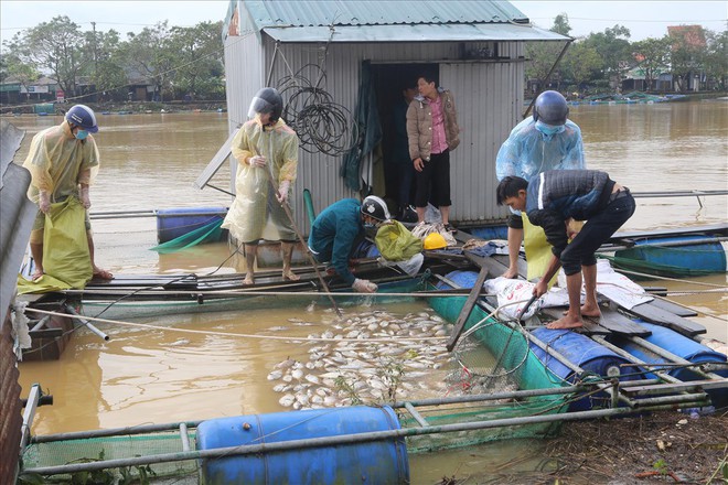 Chùm ảnh: Thừa Thiên-Huế bắt tay và khắc phục hậu quả mưa lũ - Ảnh 4.