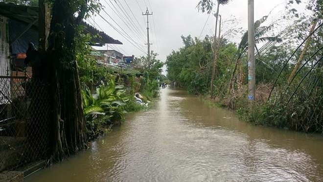 Đường phố Bình Định chìm trong biển nước, người dân dùng máy cày vượt lũ - Ảnh 4.