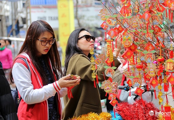 Ngắm chợ hoa lâu đời nhất của Hà Nội những ngày cuối năm - Ảnh 5.
