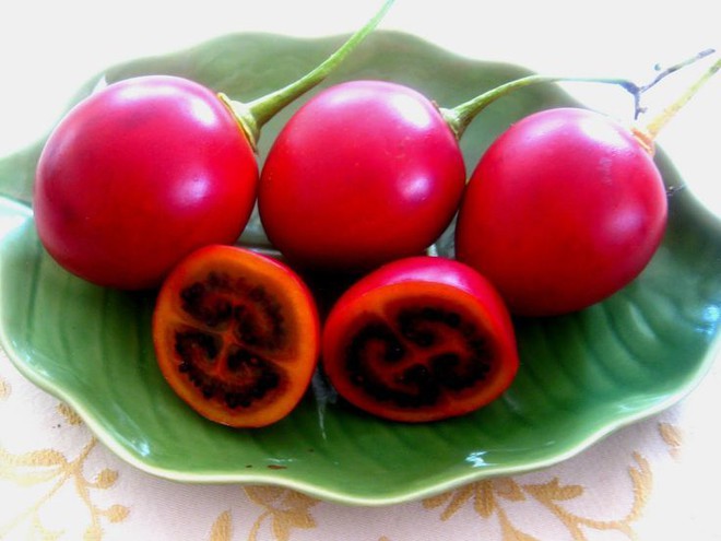 Cà chua lạ 1 triệu đồng/kg: Hàng hiếm xôn xao Hà Thành - Ảnh 4.