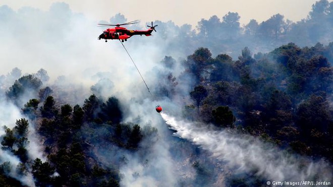 Hơn 4 triệu ha rừng ở Mỹ cháy thành tro bụi, thủ phạm không ai ngờ tới! - Ảnh 1.