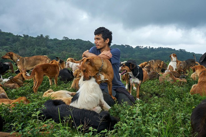 Thiên đường của hơn 900 chú chó hoang: Địa điểm hội yêu chó nhất định sẽ thích mê khi ghé thăm - Ảnh 5.