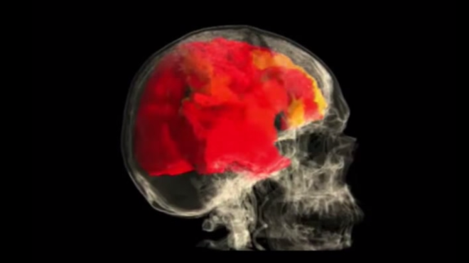 Video thú vị scan bộ não người phụ nữ trong suốt quá trình đạt cực khoái - Ảnh 4.