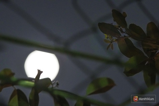 Lác mắt trước chùm ảnh siêu Mặt trăng trên bầu trời Việt Nam và thế giới - Ảnh 5.