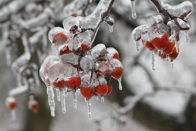 16 khung cảnh kỳ diệu chỉ có thể nhìn thấy vào mùa đông giá rét - Ảnh 5.