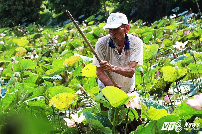 Ảnh: Cuộc sống bình dị của lão nông 82 tuổi từng bắn rơi 7 máy bay Mỹ - Ảnh 6.