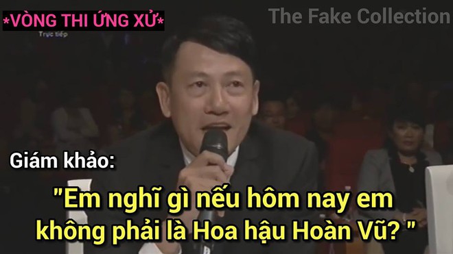 Ảnh chế Hoàng Thùy thi Hoa hậu Hoàn vũ Việt Nam mặc váy hoa dâm bụt và ứng xử bằng ca dao - Ảnh 6.