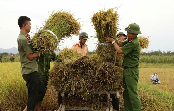 Nữ chiến sĩ công an gặt lúa giúp dân chạy ‘siêu bão’ - Ảnh 5.