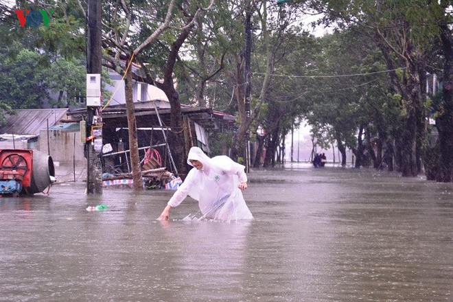 Người dân Huế chèo thuyền, đánh cá trên đường phố trong ngày mưa lũ - Ảnh 6.