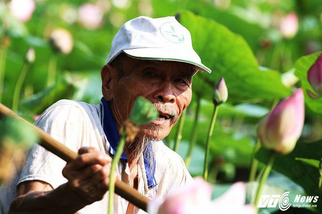 Ảnh: Cuộc sống bình dị của lão nông 82 tuổi từng bắn rơi 7 máy bay Mỹ - Ảnh 7.