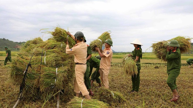 Nữ chiến sĩ công an gặt lúa giúp dân chạy ‘siêu bão’ - Ảnh 6.