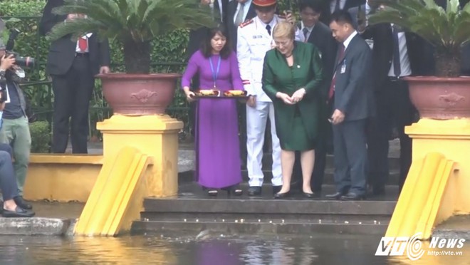 Chủ tịch nước Trần Đại Quang tiếp đón nữ Tổng thống Chile tại Hà Nội - Ảnh 7.