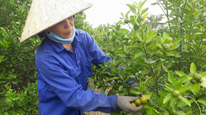 Sợ kháng sinh, mẹ Việt tự tay làm siro ho cho con: Cẩn thận nguy cơ nhiễm độc, ngộ độc - Ảnh 7.