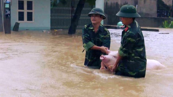 Cảnh lũ dữ tàn phá ghê gớm miền Bắc và Bắc Trung Bộ - Ảnh 8.