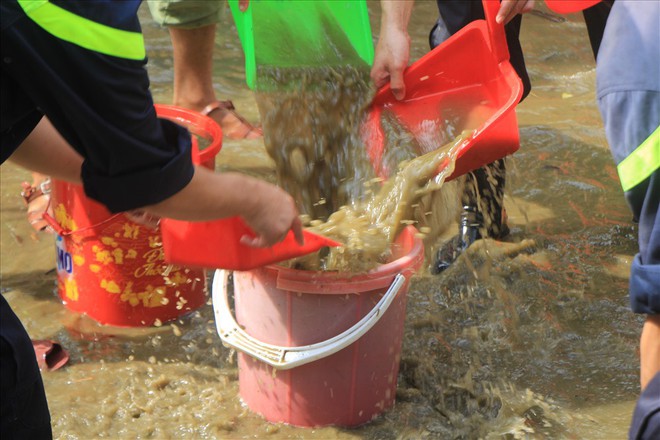 Chùm ảnh: Thừa Thiên-Huế bắt tay và khắc phục hậu quả mưa lũ - Ảnh 8.
