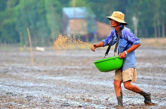 Thầy giáo dạy toán với bức ảnh ‘đàn vịt tạo hình chữ S’ - Ảnh 8.